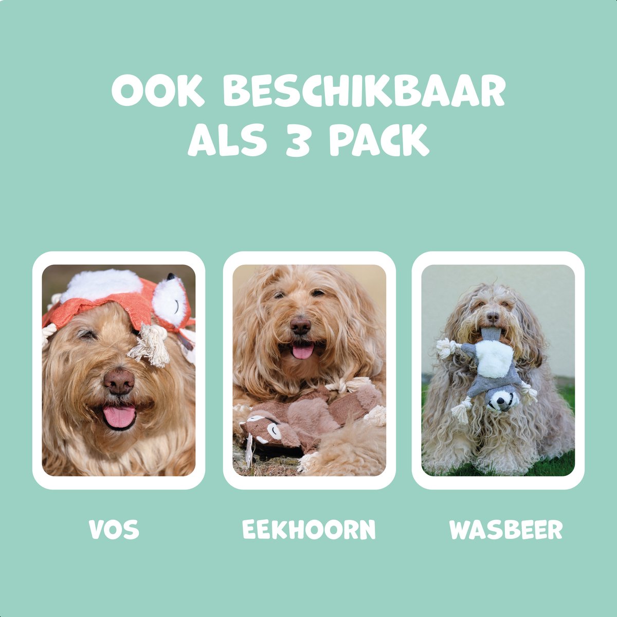 Dutchwide Hondenspeeltje - Vos - Met Kraak en Piep - Honden - Speelgoed - Knuffel - Intelligentie - Tennisbal - Dog Toy - Hond - Speeltjes