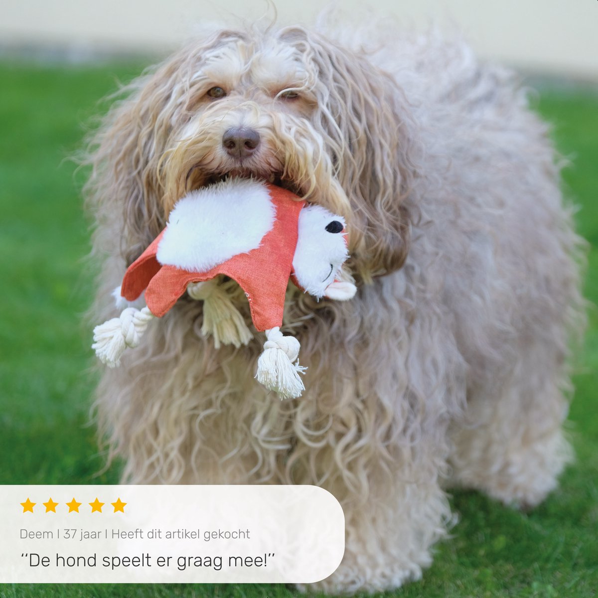 Dutchwide Hondenspeeltje - Vos - Met Kraak en Piep - Honden - Speelgoed - Knuffel - Intelligentie - Tennisbal - Dog Toy - Hond - Speeltjes