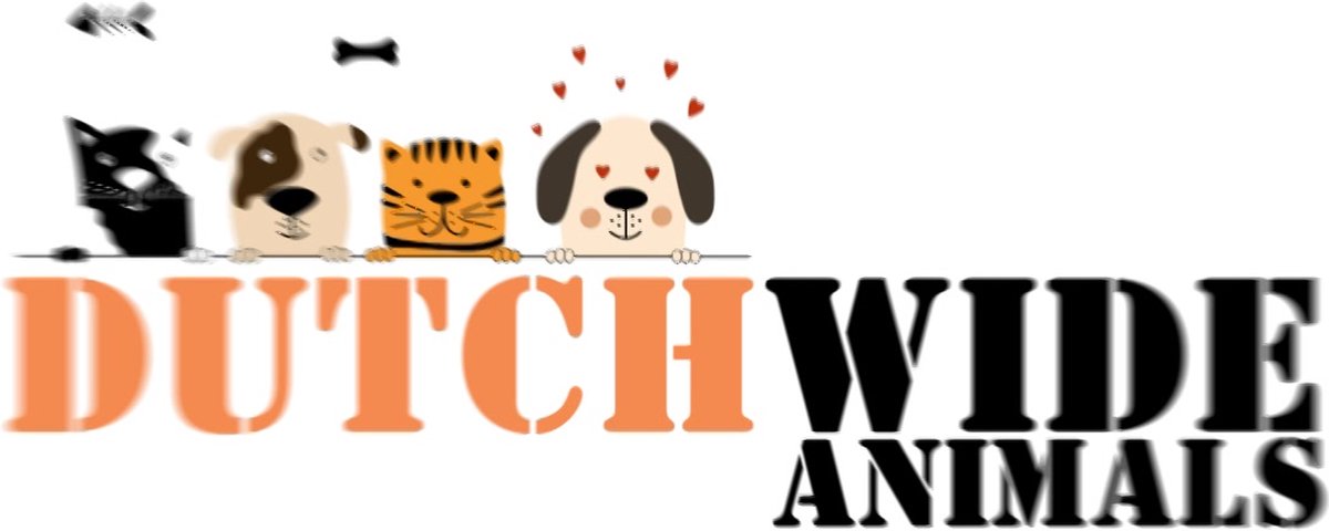 Dutchwide Zwembad voor Hond en Kind - Hondenzwembad - Hondendouche - Hondenbad - Waterfontein - Watersproeier - Waterspeelgoed - 170 cm