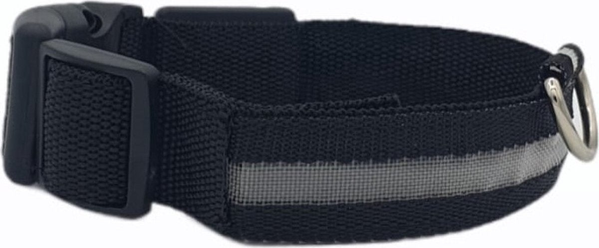 chtgevende Halsband LED Maat L 41 - 52 cm USB Oplaadbaar Hondenhalsband Puppy Riem