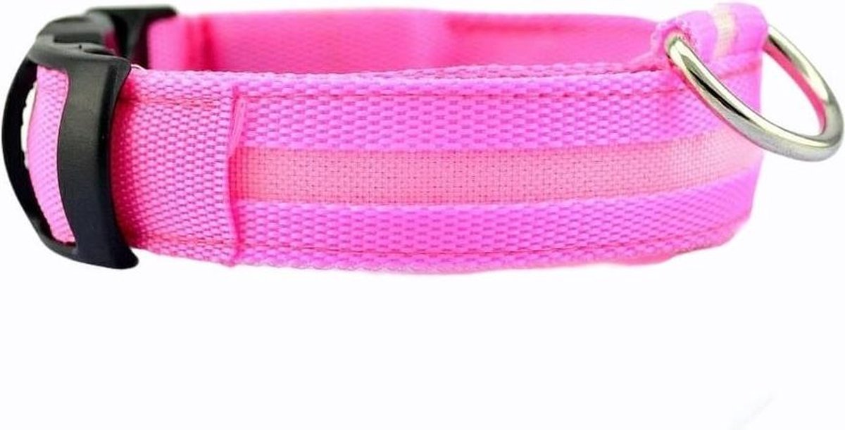 Lichtgevende Halsband LED Maat M 37 - 46 cm Hondenhalsband Puppy Riem