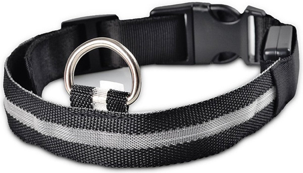 chtgevende Halsband LED Maat L 41 - 52 cm USB Oplaadbaar Hondenhalsband Puppy Riem
