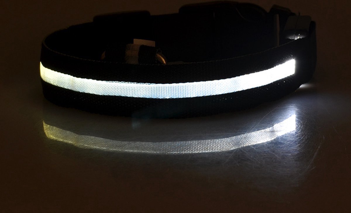chtgevende Halsband LED Maat L 41 - 52 cm USB Oplaadbaar Hondenhalsband Puppy Riem