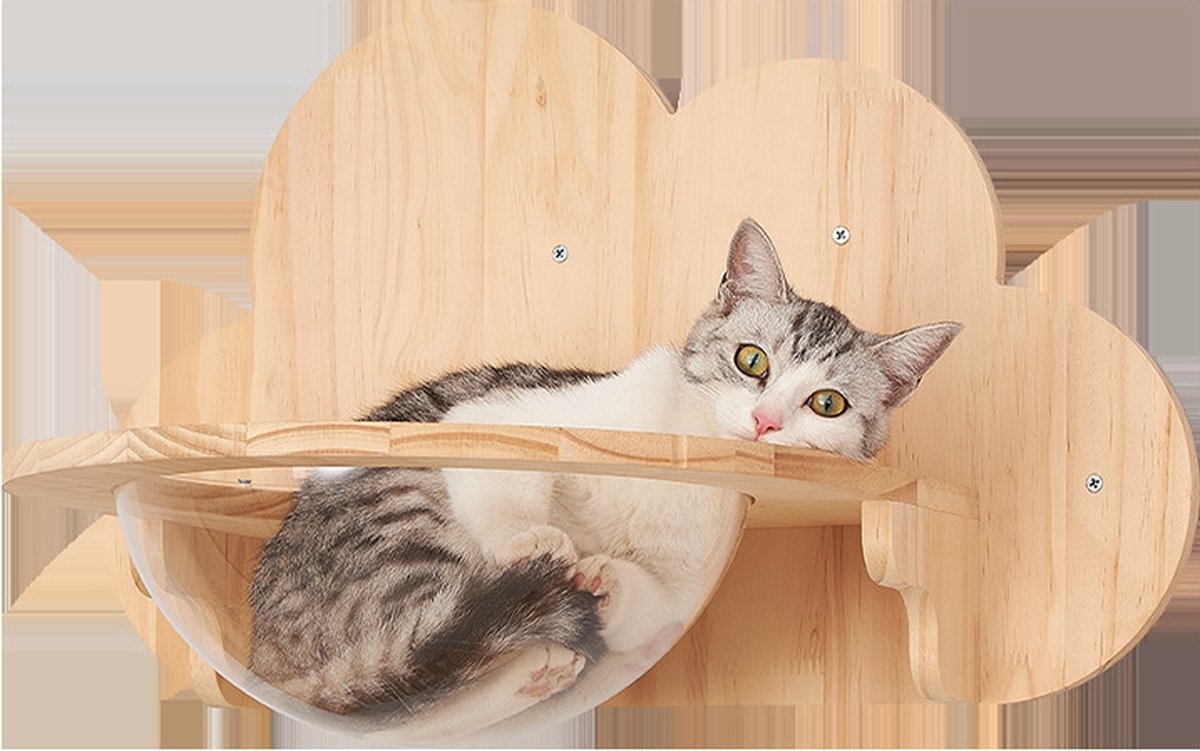 Katten klimmuur - Kattenkom en plateau