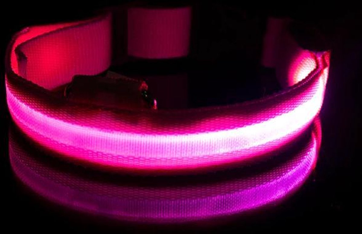 Lichtgevende Halsband LED Maat M 37 - 46 cm Hondenhalsband Puppy Riem