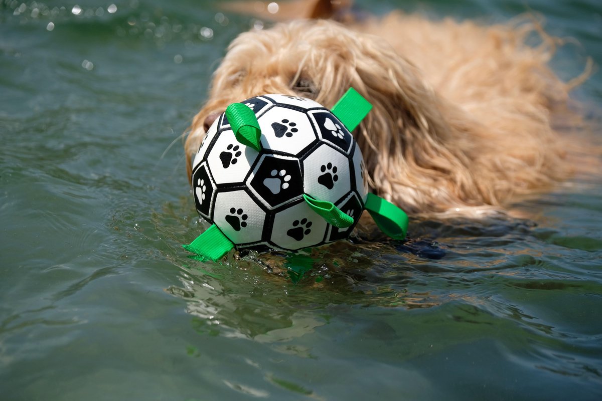 Honden Speelgoed Bal Voetbal Extra Sterk Met Handvaten Ball Hondenbal - 18 cm - Dutchwide