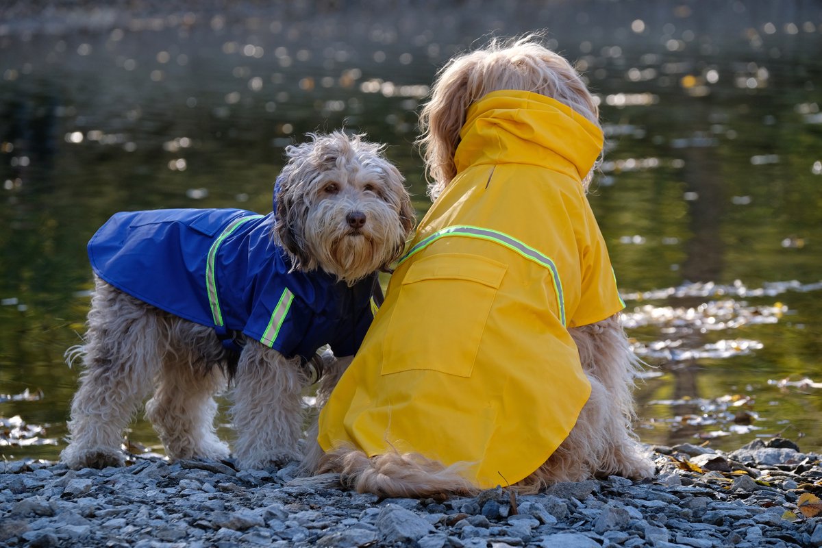 Dutchwide - Hondenjas - Regenjas Hond