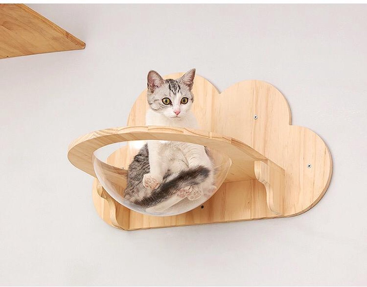 Katten klimmuur - Kattenkom en plateau