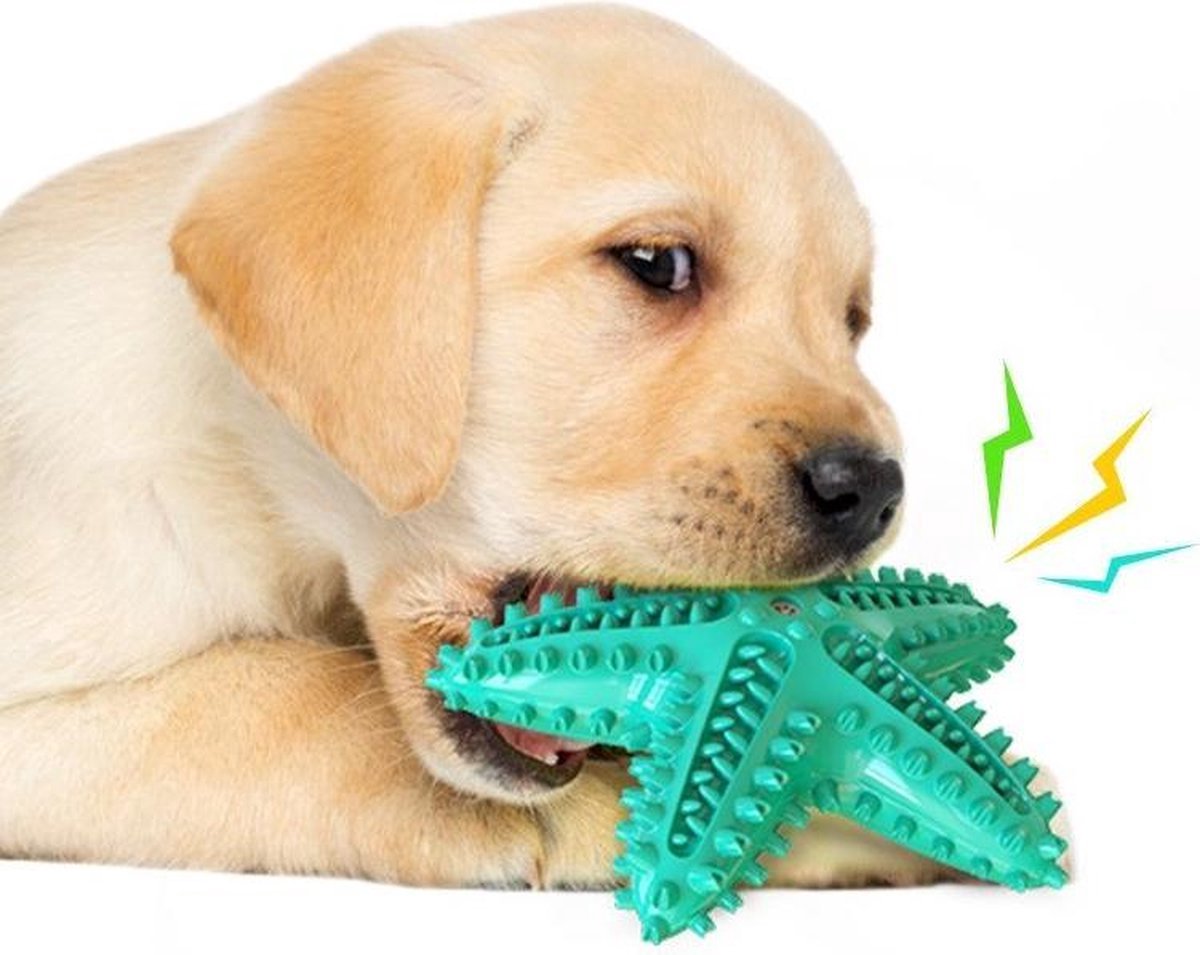Tandenborstel Hond Piep Honden Speelgoed Dog Toy Tandverzorging - Zeester Geel - Dutchwide