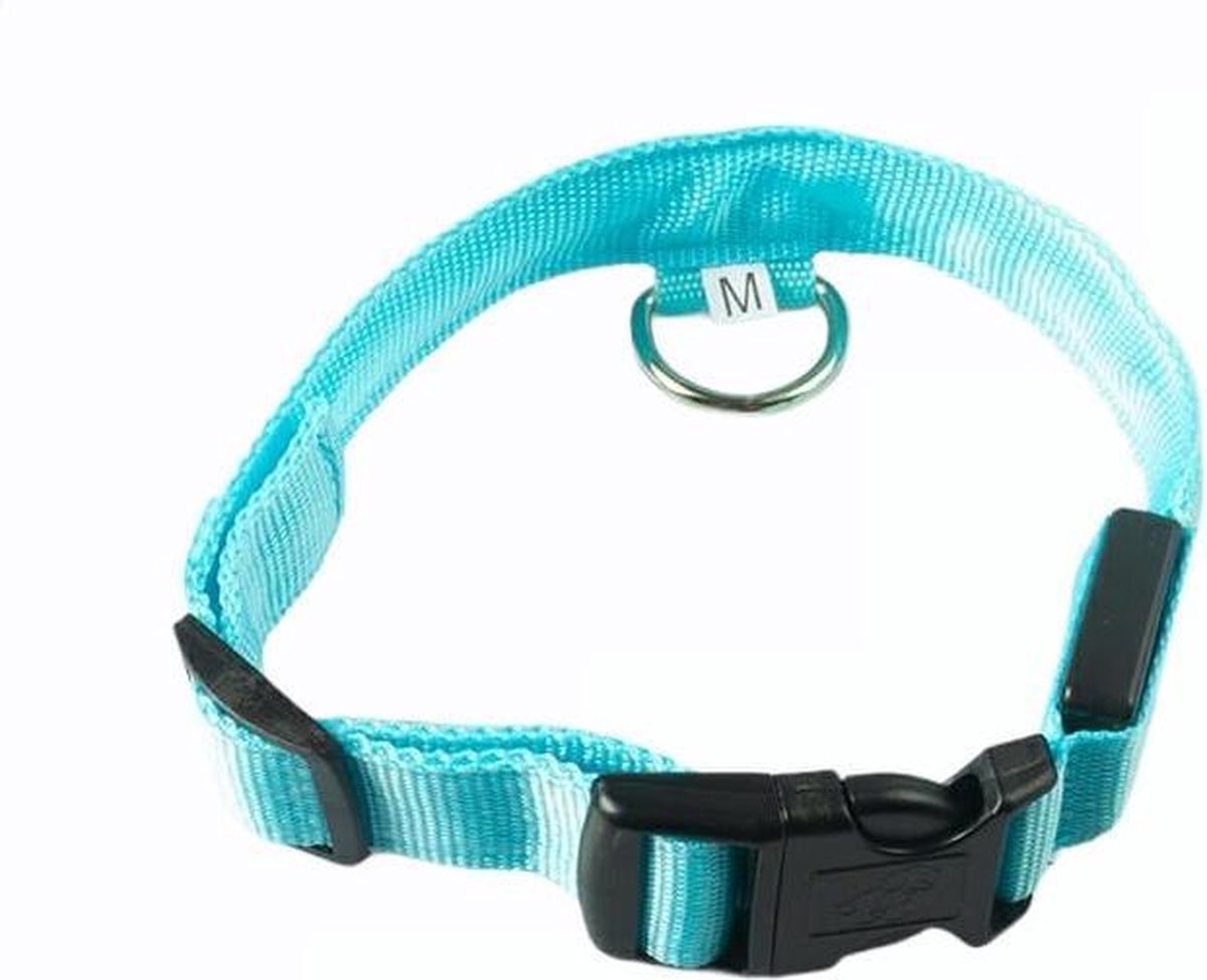Lichtgevende Halsband LED Maat XL 42 - 56 cm USB Oplaadbaar Hondenhalsband Puppy Riem - Blauw Hond Dog Kat Kitten Cat - Dutchwide