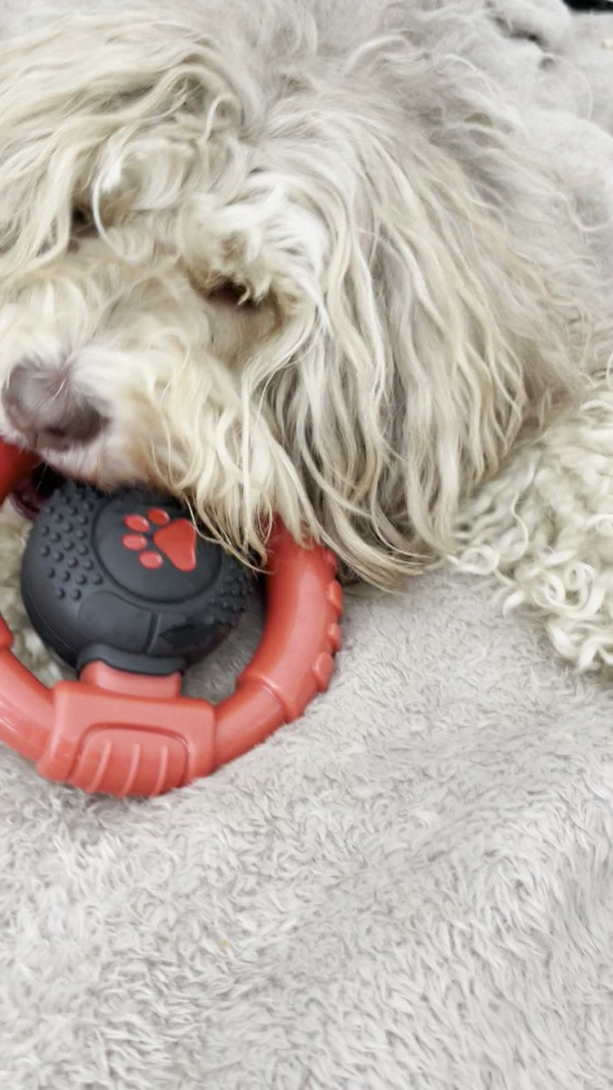 Kauwbot Stuurwiel - Met Piep - Onverwoestbaar - Melk Geur Smaak - Honden Speelgoed - Tandverzorging - Kauwspeelgoed - Bot - Hond