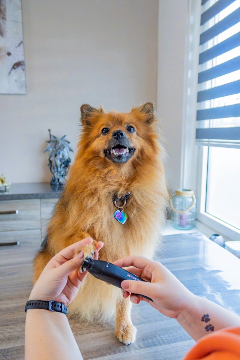 Dutchwide Honden Katten Tondeuse - Fluisterstil & draadloos