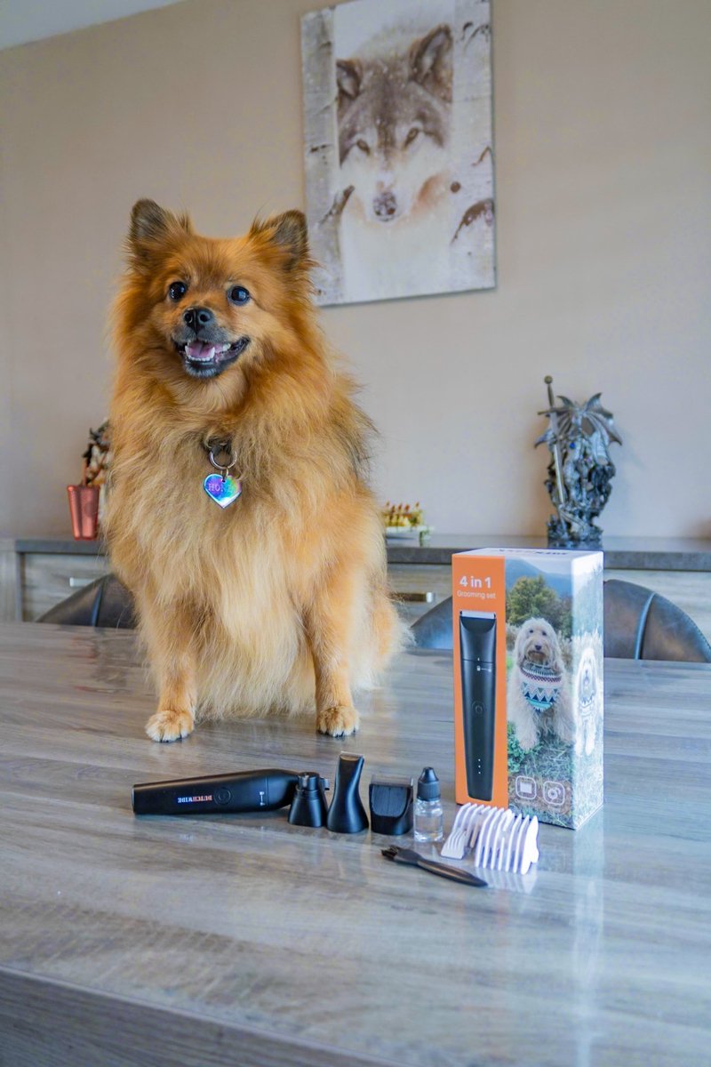 Dutchwide Honden Katten Tondeuse - Fluisterstil & draadloos