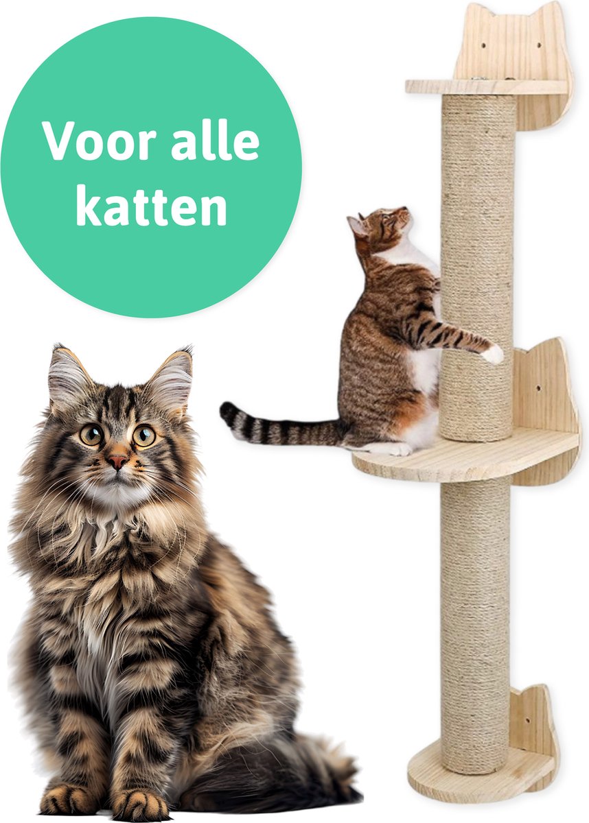 Katten klimmuur - Krabpaal - 2 Plateaus