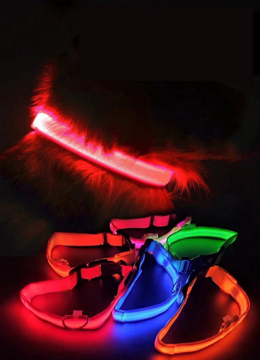 Lichtgevende Halsband LED Maat XL 42 - 56 cm USB Oplaadbaar Hondenhalsband Puppy Riem - Blauw Hond Dog Kat Kitten Cat - Dutchwide