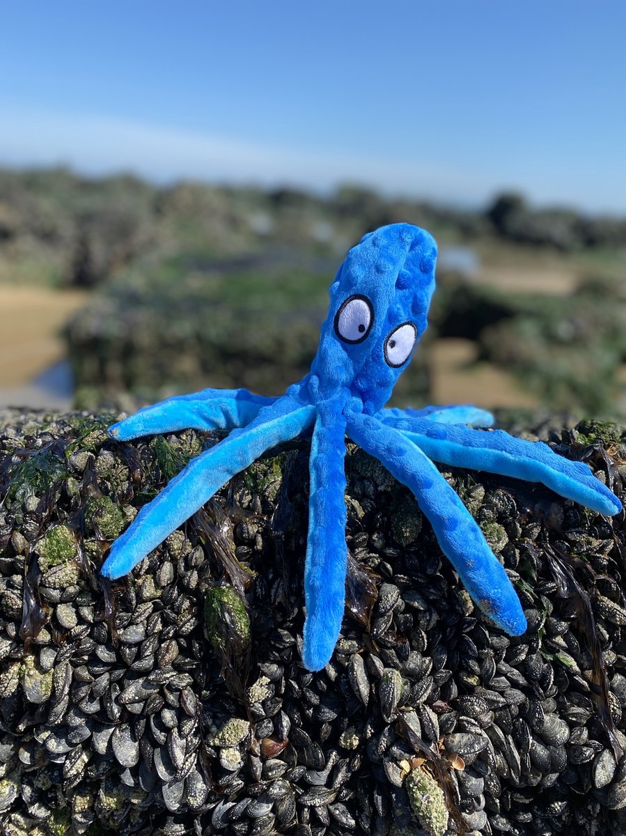 Honden Speelgoed Piep Kraak Pluche Hondenknuffel Octopus - Blauw - Dutchwide