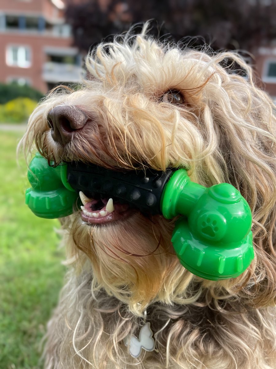 Dutchwide Kauwbot Telefoon - Honden - Tandenborstel - Gebitsverzorging - Hond - Honden Speelgoed - Bot - Tandsteen verwijderaar - Tandpasta - Mondwater hond