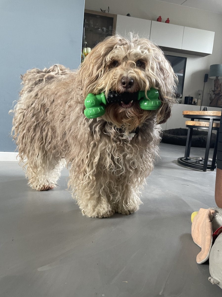 Dutchwide Kauwbot Telefoon - Honden - Tandenborstel - Gebitsverzorging - Hond - Honden Speelgoed - Bot - Tandsteen verwijderaar - Tandpasta - Mondwater hond