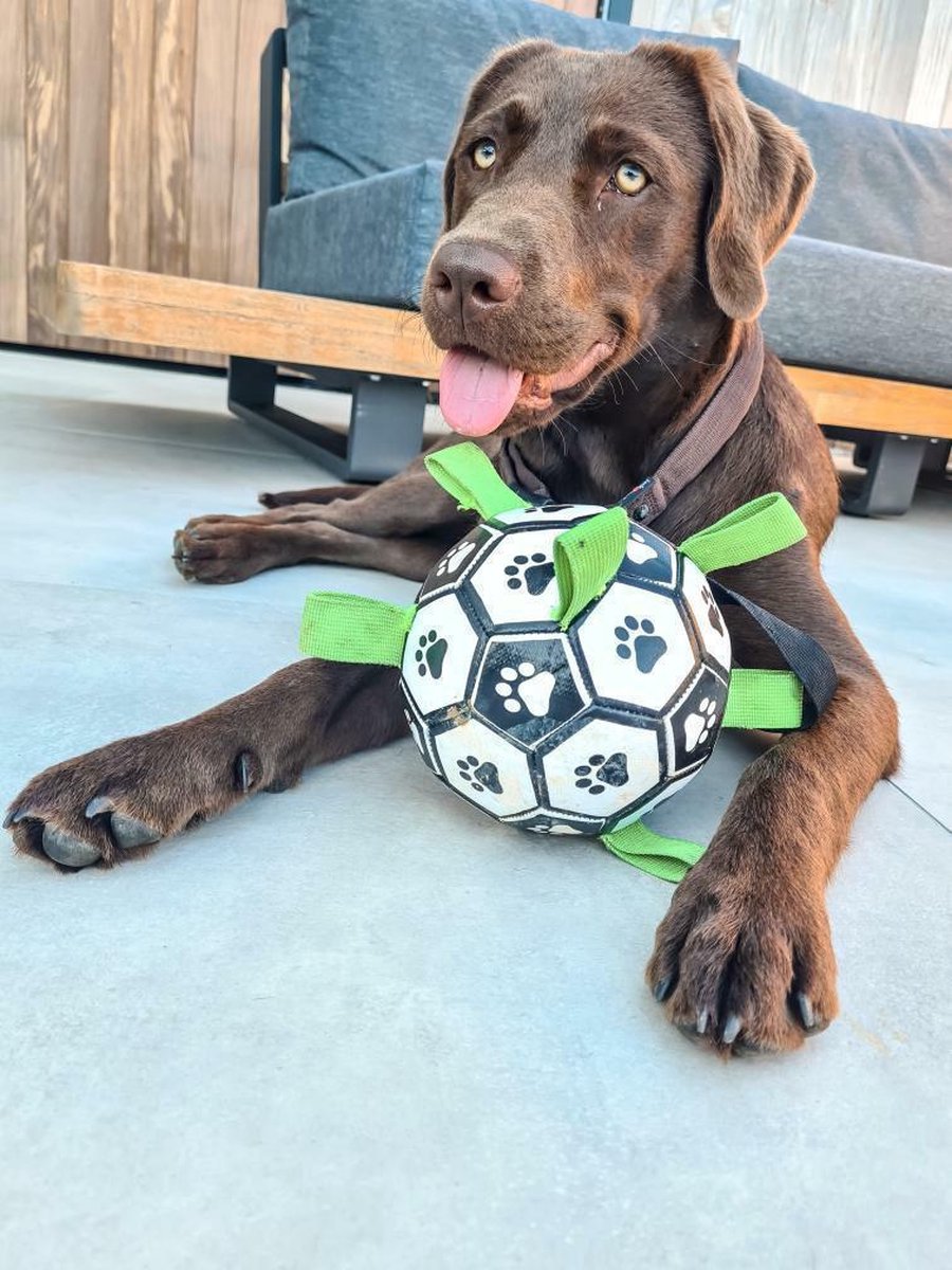 Honden Speelgoed Bal Voetbal Extra Sterk Met Handvaten Ball Hondenbal - 18 cm - Dutchwide